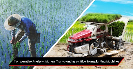 Comparative Analysis: Manual Transplanting vs. Rice Transplanting Machines