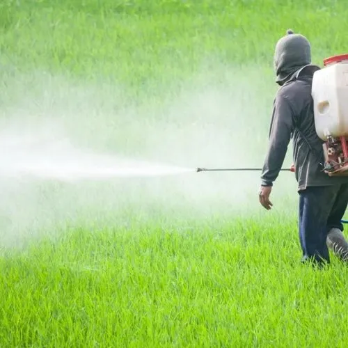 Manual Sprayer machine