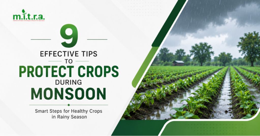 9 Effective Tips to Protect Crops During Monsoon