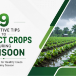 9 Effective Tips to Protect Crops During Monsoon