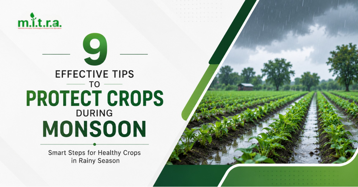 9 Effective Monsoon Crop Protection Tips with Boom & Reel Sprayers