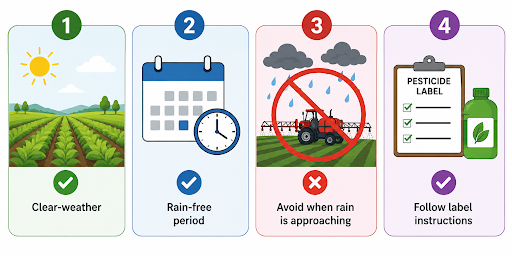 5 Common Spraying Mistakes Farmers Make During the Rainy Season